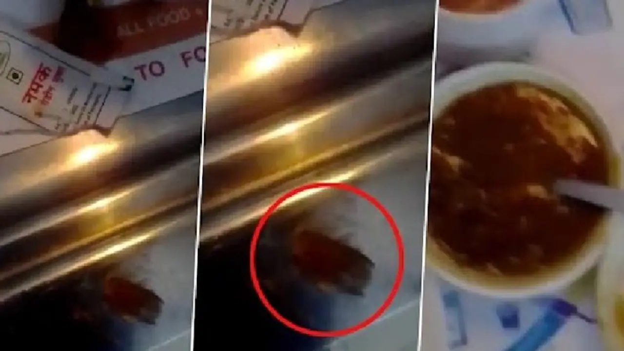 ആശുപത്രിയില്‍ നിന്ന് കിട്ടിയ ഭക്ഷണത്തില്‍ പാറ്റയെന്ന് പരാതി; വീഡിയോ....