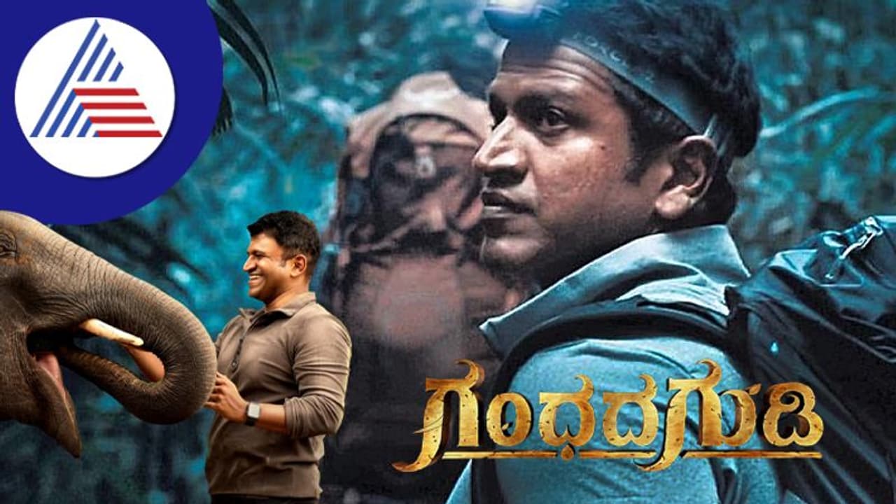 Puneeth Rajkumar ಗಂಧದ ಗುಡಿ ಚಿತ್ರಕ್ಕಿದ್ದ ಮೊದಲ ಟೈಟಲ್ ಕೇಳಿದ್ರೆ ನೀವು ಭಾವುಕರಾಗುತ್ತೀರಿ! Puneeth Rajkumar ಗಂಧದ ಗುಡಿ ಚಿತ್ರಕ್ಕಿದ್ದ ಮೊದಲ ಟೈಟಲ್ ಕೇಳಿದ್ರೆ ನೀವು ಭಾವುಕರಾಗುತ್ತೀರಿ!