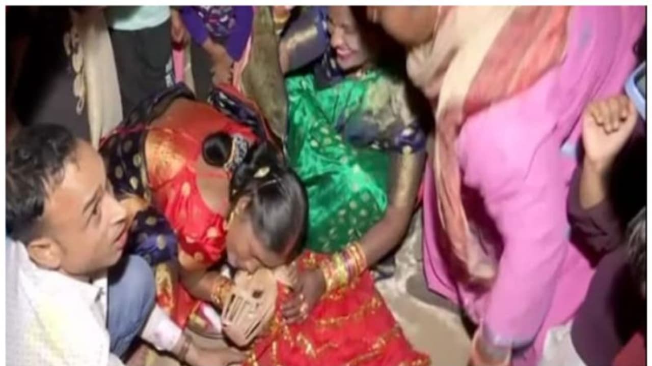 സ്വീറ്റിയും ഷേരുവും വിവാഹിതരായി; ഹല്ദിയും ആഘോഷങ്ങളുമായി വളർത്തുനായ്ക്കളുടെ വിവാഹം; വൈറൽ വീഡിയോ സ്വീറ്റിയും ഷേരുവും വിവാഹിതരായി; ഹല്ദിയും ആഘോഷങ്ങളുമായി വളർത്തുനായ്ക്കളുടെ വിവാഹം; വൈറൽ വീഡിയോ