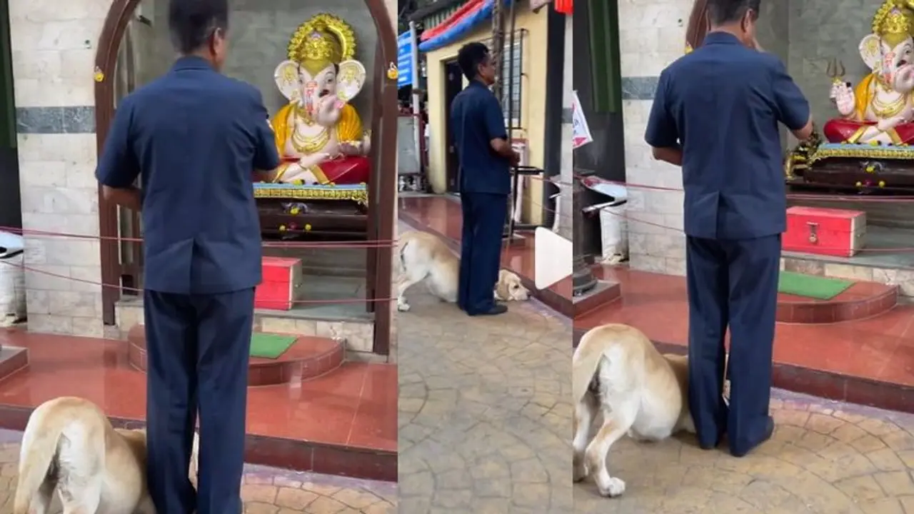 ವಿಘ್ನ ನಿವಾರಕನಿಗೆ ತಲೆಬಾಗಿಸಿ ಕೈ ಮುಗಿದ ಶ್ವಾನ... ವಿಡಿಯೋ ವೈರಲ್