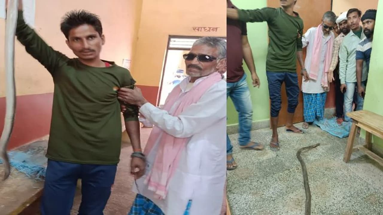ಕಚ್ಚಿದ ಹಾವನ್ನು ಹಿಡಿದುಕೊಂಡು ಆಸ್ಪತ್ರೆಗೆ ಬಂದ ಯುವಕ