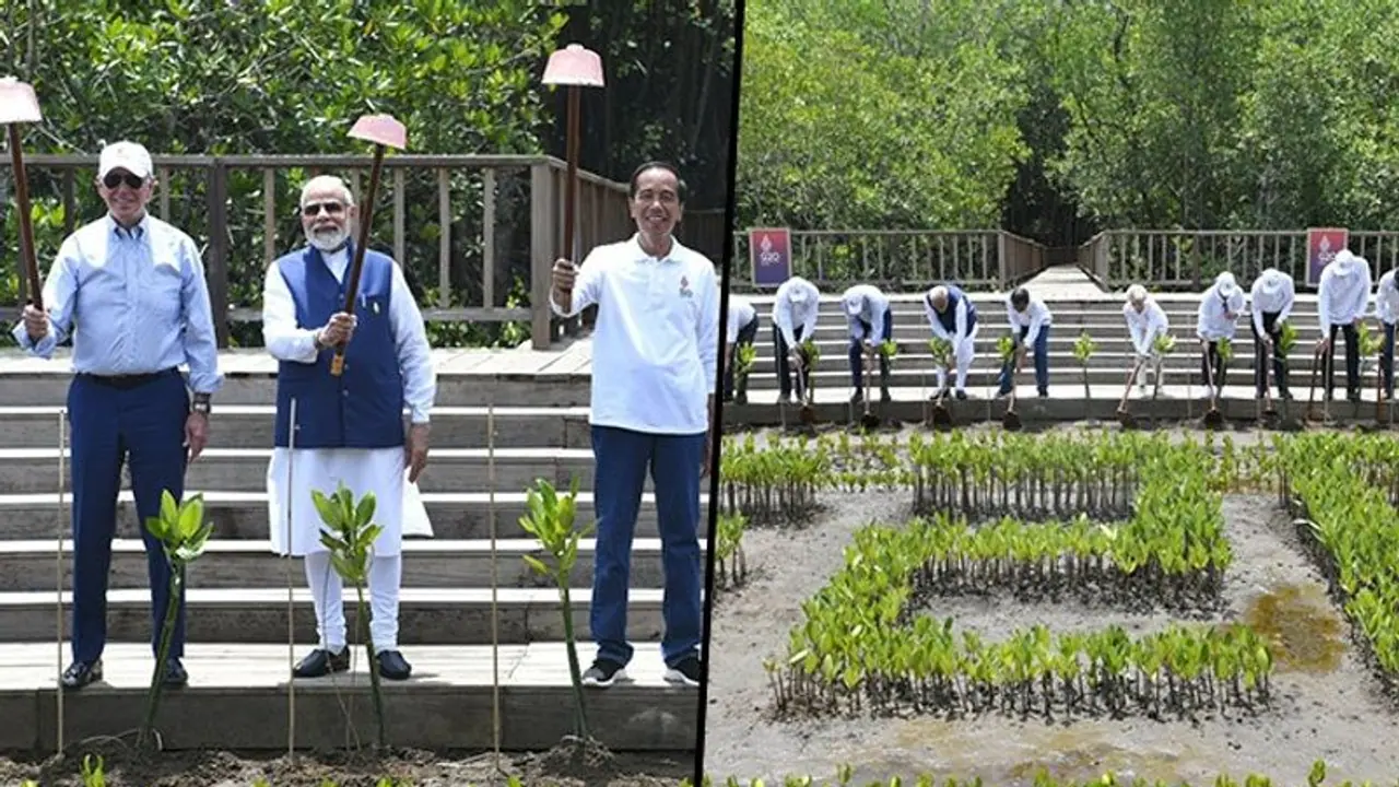 G20 Summit Day 2: PM Modi, other world leaders visit mangrove forest in Bali, plant saplings G20 Summit Day 2: PM Modi, other world leaders visit mangrove forest in Bali, plant saplings