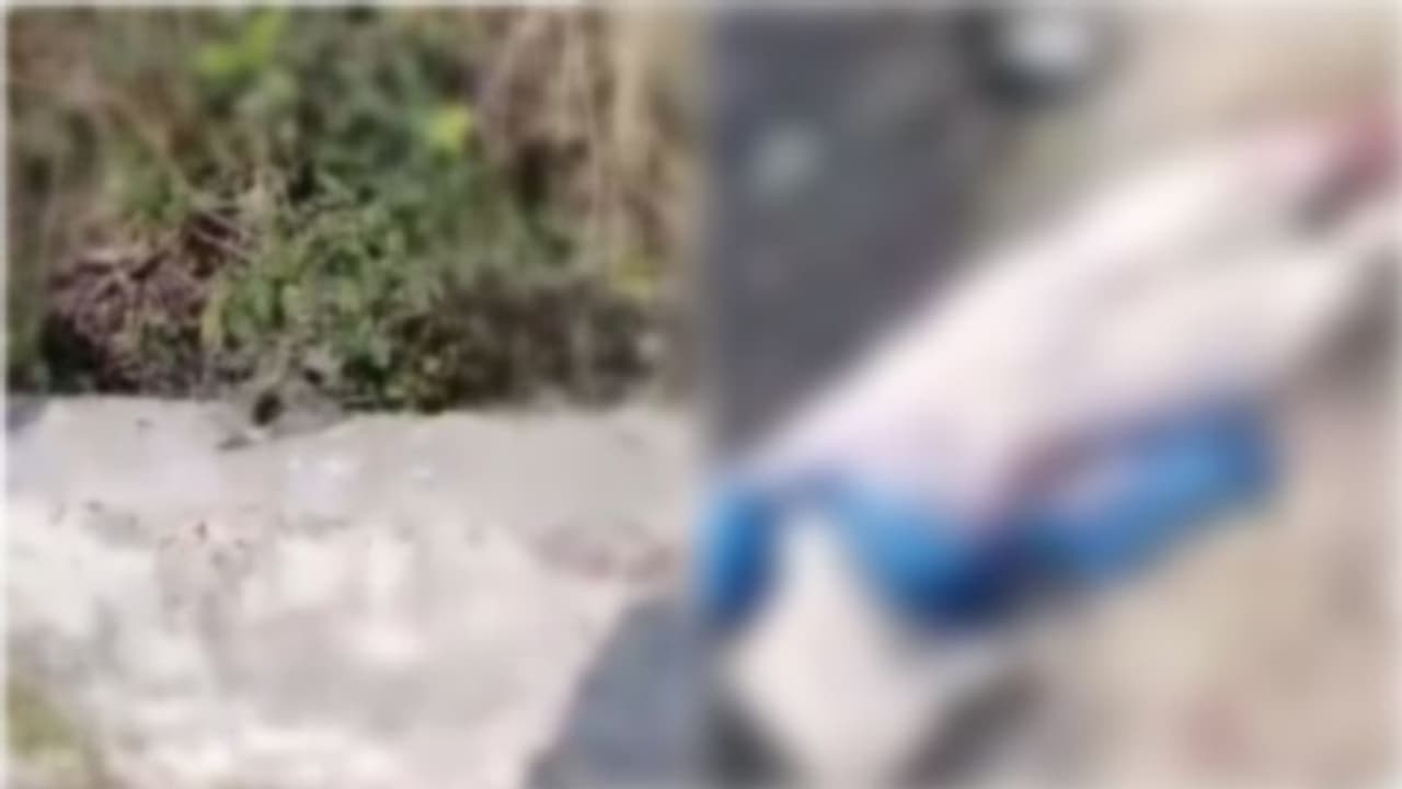 വെട്ടിമുറിക്കപ്പെട്ട നിലയിൽ യുവതിയുടെ മൃതദേഹം കിണറ്റില്; തലയില്ല, കൊല്ലപ്പെട്ടത് 22കാരി വെട്ടിമുറിക്കപ്പെട്ട നിലയിൽ യുവതിയുടെ മൃതദേഹം കിണറ്റില്; തലയില്ല, കൊല്ലപ്പെട്ടത് 22കാരി