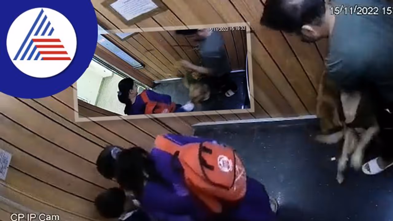 ಲಿಫ್ಟ್ನಲ್ಲಿ ಪುಟ್ಟ ಬಾಲಕನ ಕಚ್ಚಿ ಎಳೆದಾಡಿದ ಬೇರೆಯವರ ಸಾಕುನಾಯಿ ಲಿಫ್ಟ್ನಲ್ಲಿ ಪುಟ್ಟ ಬಾಲಕನ ಕಚ್ಚಿ ಎಳೆದಾಡಿದ ಬೇರೆಯವರ ಸಾಕುನಾಯಿ