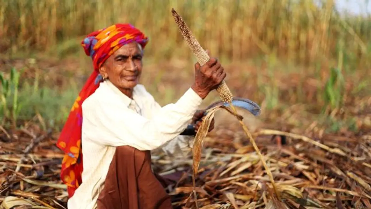 Millet: Why this Indian superfood is a 'smart' choice for the world