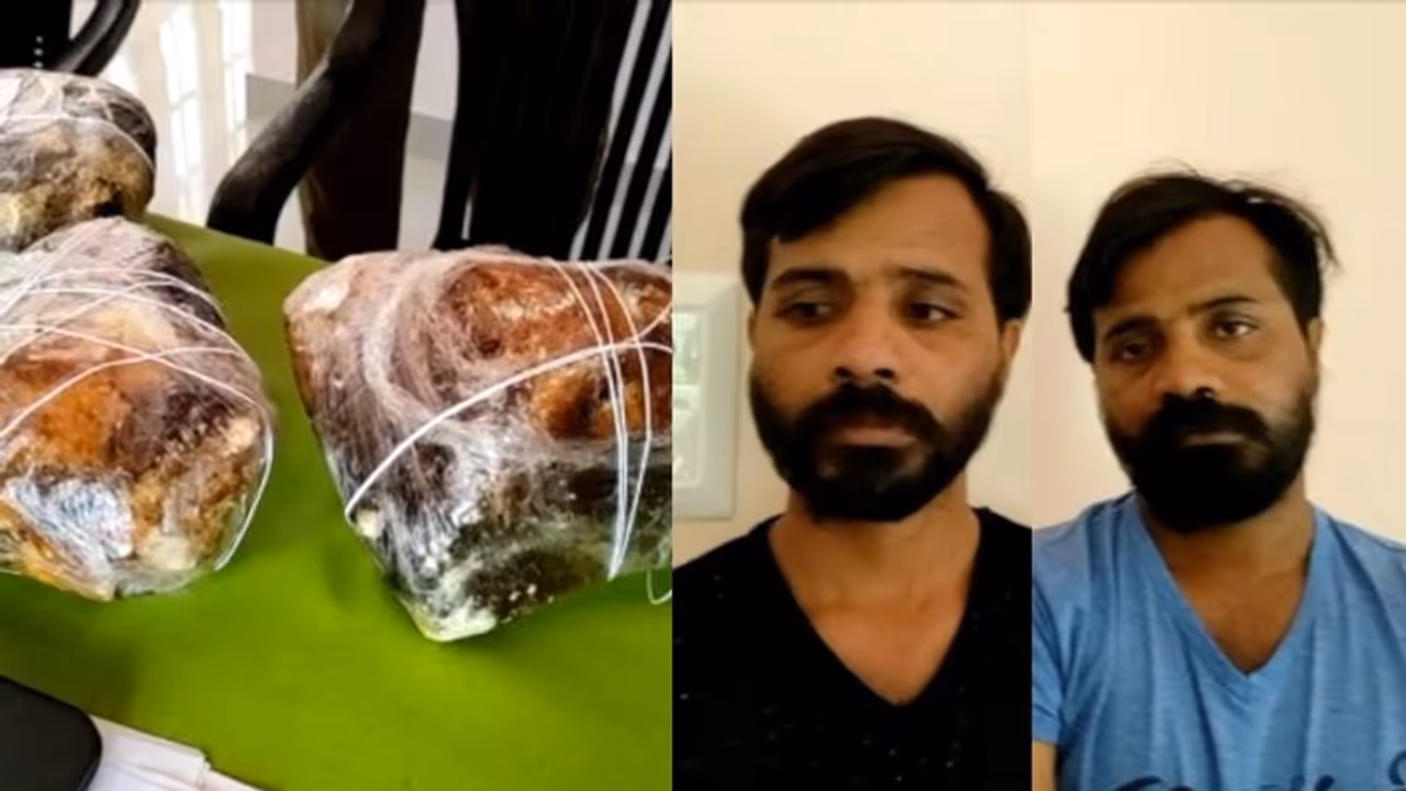 തിമിംഗല ഛര്ദിയുമായി ഇരട്ട സഹോദരങ്ങള് പിടിയില്; സംഭവം തിരുവനന്തപുരത്ത് തിമിംഗല ഛര്ദിയുമായി ഇരട്ട സഹോദരങ്ങള് പിടിയില്; സംഭവം തിരുവനന്തപുരത്ത്