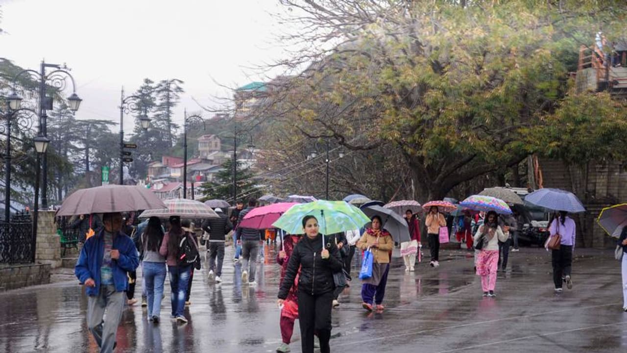 Weather Report: कई राज्यों पर दिखेगा कश्मीर घाटी में बर्फबारी शीतलहर का असर, साउथ इंडिया में बारिश का Alert Weather Report: कई राज्यों पर दिखेगा कश्मीर घाटी में बर्फबारी शीतलहर का असर, साउथ इंडिया में बारिश का Alert