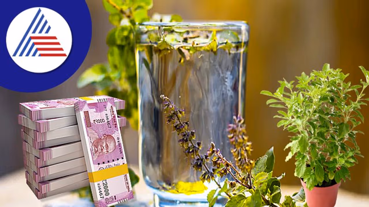 Tulsi Water in Puja Room: பூஜையறையில் துளசி நீர் வையுங்க... இந்த நன்மையை பெற்றுக்கோங்க..!!! Tulsi Water in Puja Room: பூஜையறையில் துளசி நீர் வையுங்க... இந்த நன்மையை பெற்றுக்கோங்க..!!!