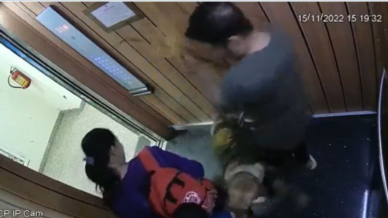 ആറ് വയസുകാരനെ വളർത്തുനായ കടിച്ചു, ഉടമയ്ക്ക് പതിനായിരം രൂപ പിഴ, ചികിത്സാ ചെലവും വഹിക്കണം ആറ് വയസുകാരനെ വളർത്തുനായ കടിച്ചു, ഉടമയ്ക്ക് പതിനായിരം രൂപ പിഴ, ചികിത്സാ ചെലവും വഹിക്കണം