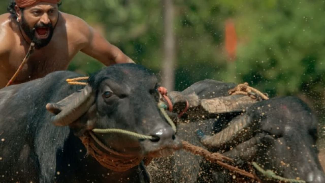 ബോക്സ് ഓഫീസില് വിസ്മയമായി, ഇനി 'കാന്താര' ഒടിടിയിലേക്ക് ബോക്സ് ഓഫീസില് വിസ്മയമായി, ഇനി 'കാന്താര' ഒടിടിയിലേക്ക്