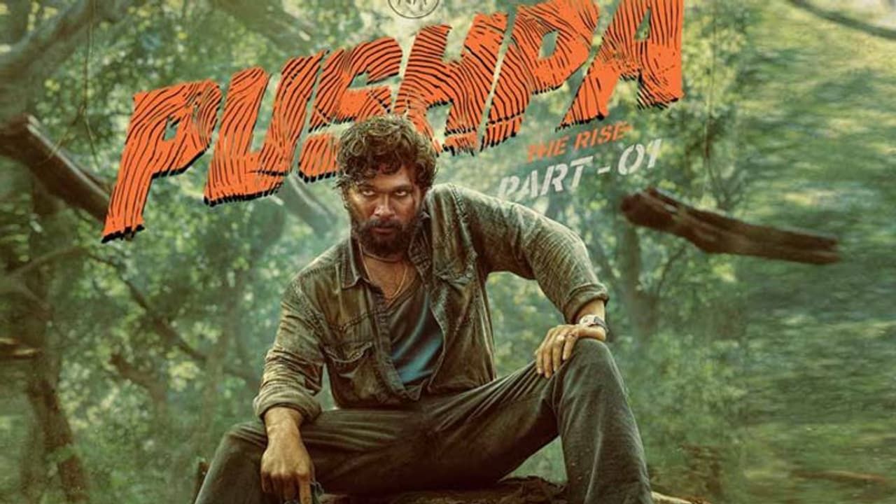 350 करोड़ कमा BOX OFFICE पर गदर मचाने वाली अल्लू अर्जुन की पुष्पा दोबारा हो रही रिलीज, जानें क्यों 350 करोड़ कमा BOX OFFICE पर गदर मचाने वाली अल्लू अर्जुन की पुष्पा दोबारा हो रही रिलीज, जानें क्यों