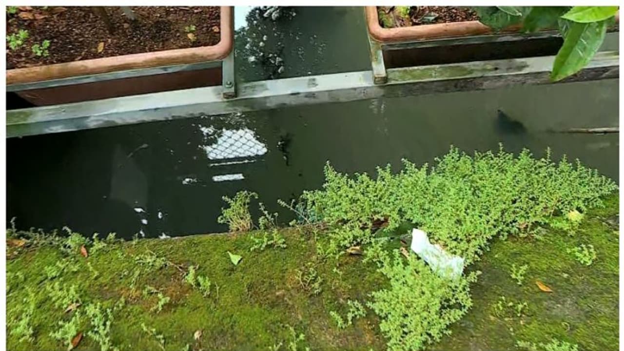 കൊച്ചി നഗരത്തിലെ കാനയിൽ വീണ് മൂന്ന് വയസുകാരന് പരിക്ക്