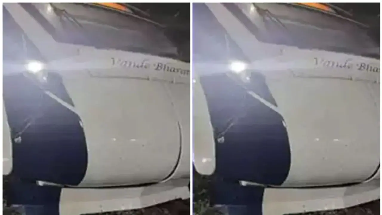 Vande Bharat Express: ಮೈಸೂರು ಚೆನ್ನೈ ರೈಲಿಗೆ ಹಸು ಡಿಕ್ಕಿ, ಮುಂಭಾಗಕ್ಕೆ ಹಾನಿ!