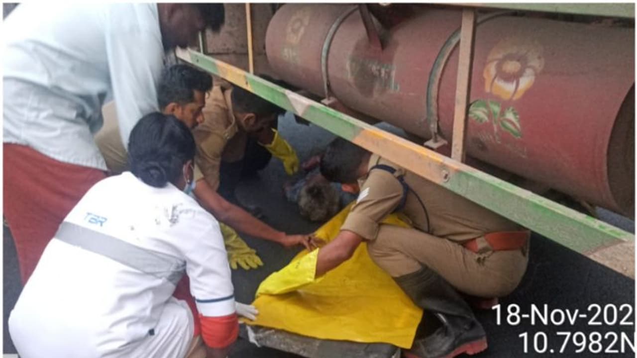 കഞ്ചിക്കോട് അമിത വേഗതയിലെത്തിയ ലോറിക്കടിയിൽപ്പെട്ട് വയോധിക മരിച്ചു കഞ്ചിക്കോട് അമിത വേഗതയിലെത്തിയ ലോറിക്കടിയിൽപ്പെട്ട് വയോധിക മരിച്ചു