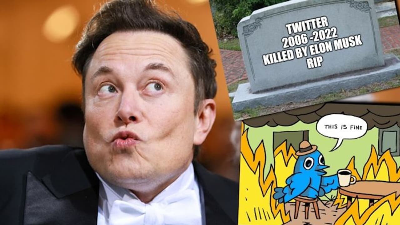 'RIP Twitter' trends amidst Twitter mass resignations after Elon Musk's ultimatum
