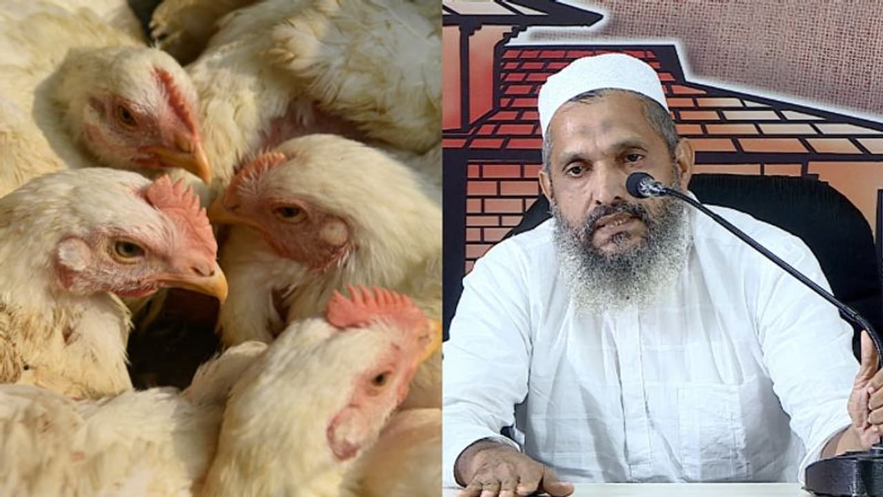 കടയില് ചത്ത കോഴികളെ കണ്ട സംഭവത്തില് വിശദീകരണം; മാനനഷ്ടക്കേസുമായി കടയുടമ ഹൈക്കോടതിയില് കടയില് ചത്ത കോഴികളെ കണ്ട സംഭവത്തില് വിശദീകരണം; മാനനഷ്ടക്കേസുമായി കടയുടമ ഹൈക്കോടതിയില്