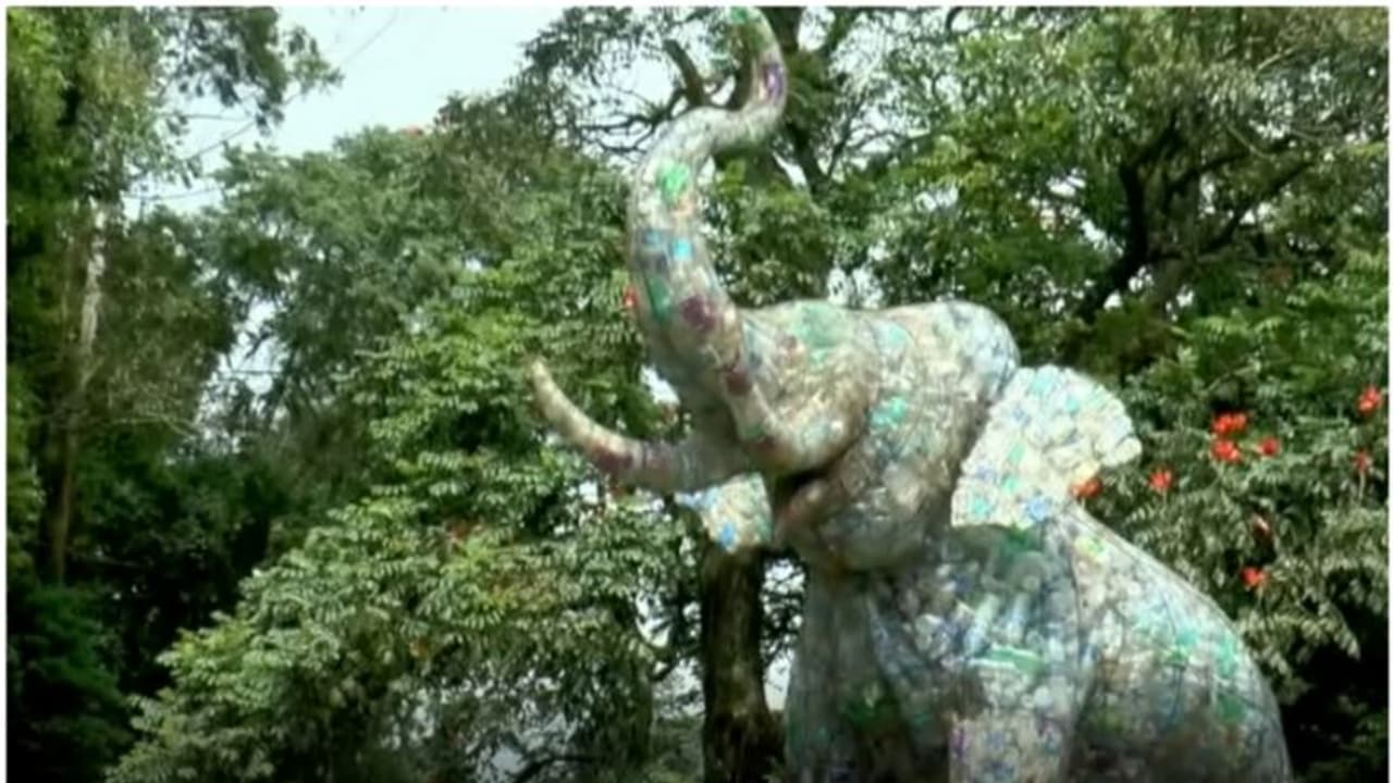 'പടയപ്പ'യുടെ സ്വന്തം നാട്ടില്‍ ചിന്നം വിളിച്ച് മറ്റൊരു കൊമ്പനും! 