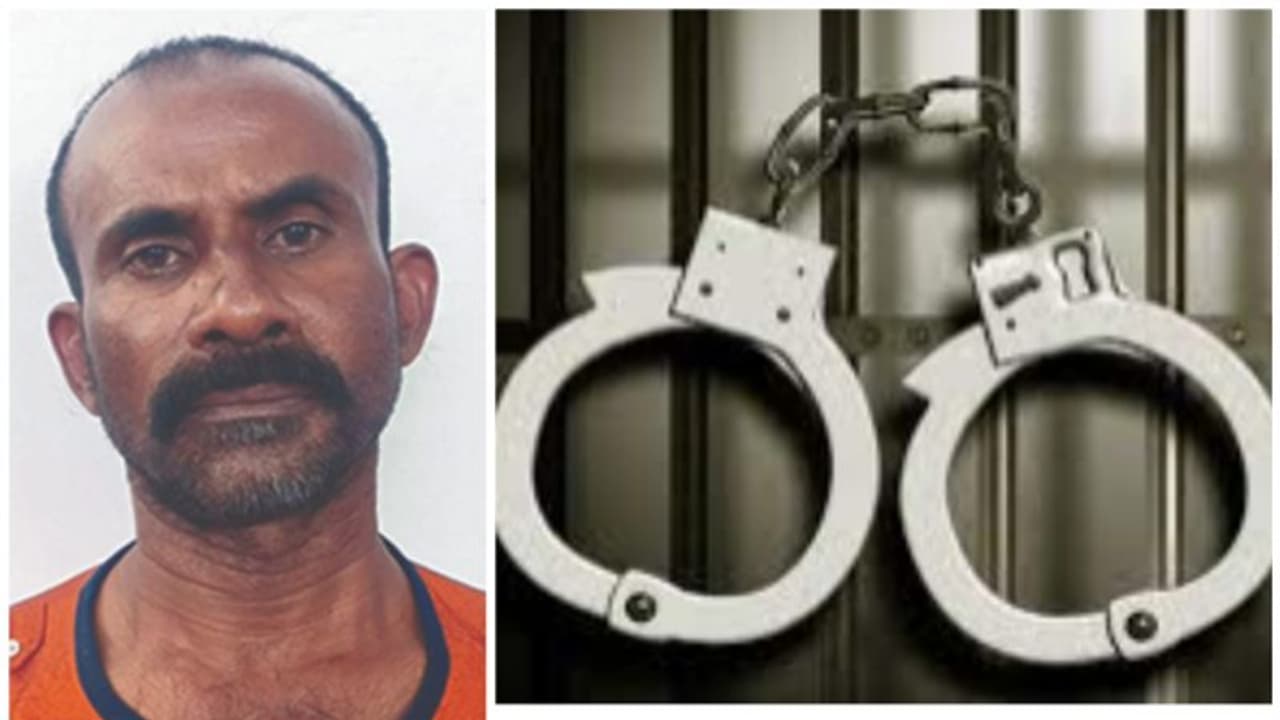 വിവാഹ വീട്ടിൽ എല്ലാവരും ഉറങ്ങിക്കിടക്കെ മോഷണം; എട്ട് ലക്ഷം രൂപയും 16 പവൻ സ്വർണവും കവർന്ന പ്രതി പിടിയിൽ വിവാഹ വീട്ടിൽ എല്ലാവരും ഉറങ്ങിക്കിടക്കെ മോഷണം; എട്ട് ലക്ഷം രൂപയും 16 പവൻ സ്വർണവും കവർന്ന പ്രതി പിടിയിൽ