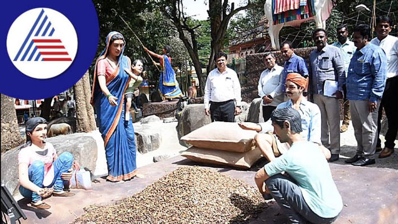 ನಾಳೆ ಸಂಜೆ ಐತಿಹಾಸಿಕ ಬಸವನಗುಡಿ ಕಡ್ಲೆಕಾಯಿ ಪರಿಷೆಗೆ ಸಿಎಂ ಚಾಲನೆ ನಾಳೆ ಸಂಜೆ ಐತಿಹಾಸಿಕ ಬಸವನಗುಡಿ ಕಡ್ಲೆಕಾಯಿ ಪರಿಷೆಗೆ ಸಿಎಂ ಚಾಲನೆ