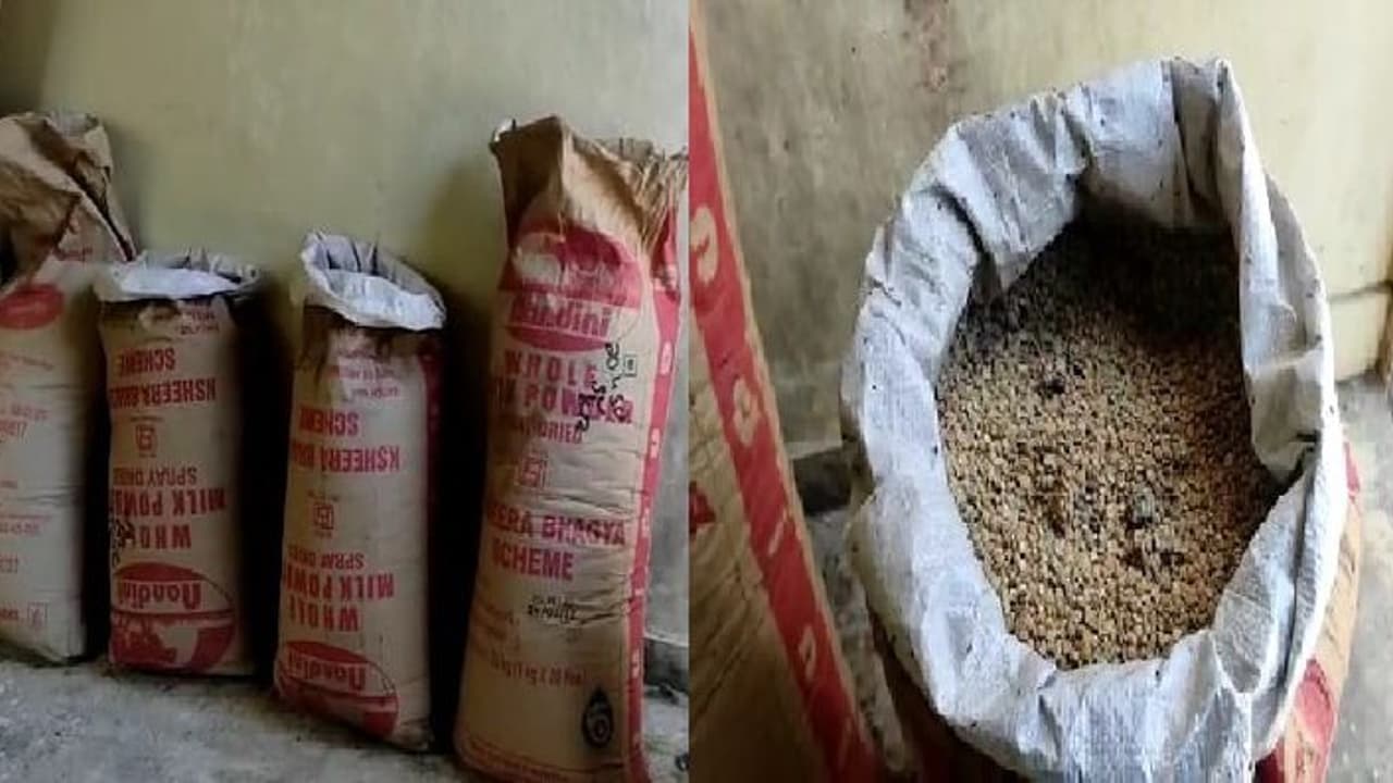 ಸರ್ಕಾರಿ ಶಾಲೆ ಮಕ್ಕಳ ಊಟಕ್ಕೆ ಹುಳುಬಿದ್ದ ಅಕ್ಕಿ, ಬೇಳೆ ಬಳಕೆ ಸರ್ಕಾರಿ ಶಾಲೆ ಮಕ್ಕಳ ಊಟಕ್ಕೆ ಹುಳುಬಿದ್ದ ಅಕ್ಕಿ, ಬೇಳೆ ಬಳಕೆ