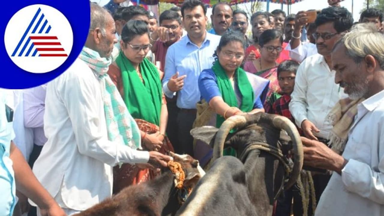 ಗೋ ಪೂಜೆ ಮೂಲಕ ಗದಗದಲ್ಲಿ ಜಿಲ್ಲಾಧಿಕಾರಿಗಳ ನಡೆ ಹಳ್ಳಿಯ ಕಡೆ ಕಾರ್ಯಕ್ರಮಕ್ಕೆ ಚಾಲನೆ