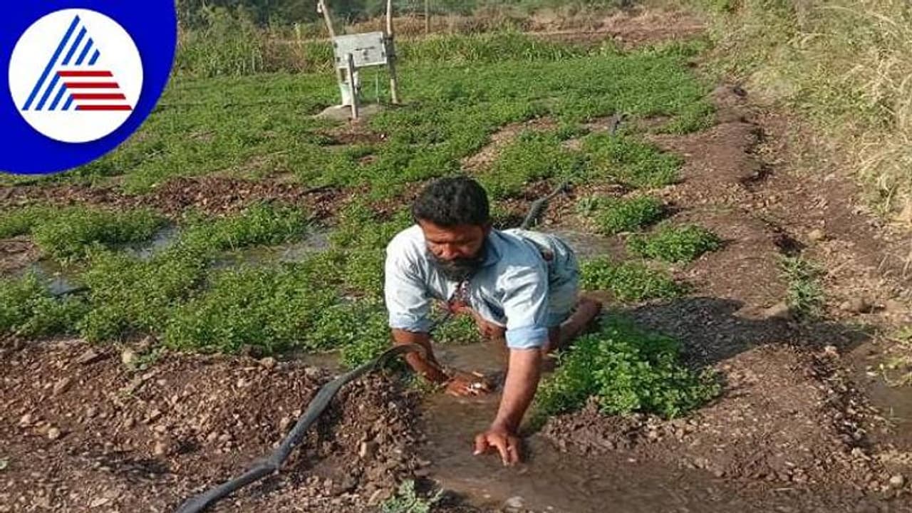 ದಿವ್ಯಾಂಗ ವ್ಯಕ್ತಿಯ ಕೃಷಿ ಕಾಯಕಕ್ಕೆ ಬೆಕ್ಕಸ ಬೆರಗಾದ ಕಲಬುರಗಿ ಮಂದಿ..! ದಿವ್ಯಾಂಗ ವ್ಯಕ್ತಿಯ ಕೃಷಿ ಕಾಯಕಕ್ಕೆ ಬೆಕ್ಕಸ ಬೆರಗಾದ ಕಲಬುರಗಿ ಮಂದಿ..!