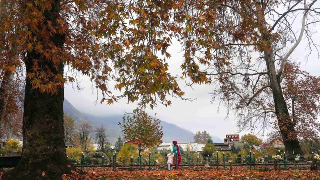 Weather Report: कुछ दिनों के भीतर उत्तर पश्चिम और मध्य भारत में टेम्परेचर गिरने से बढ़ेगी सर्दी Weather Report: कुछ दिनों के भीतर उत्तर पश्चिम और मध्य भारत में टेम्परेचर गिरने से बढ़ेगी सर्दी