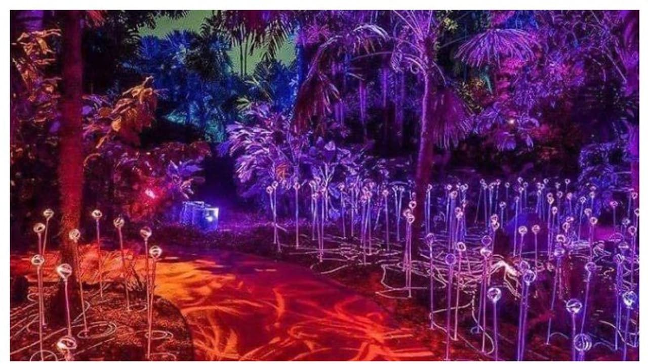 ആറു ഗിന്നസ് റെക്കോര്‍ഡുകള്‍ സ്വന്തമാക്കി 'നൂര്‍ അല്‍ റിയാദ്' ഫെസ്റ്റിവല്‍