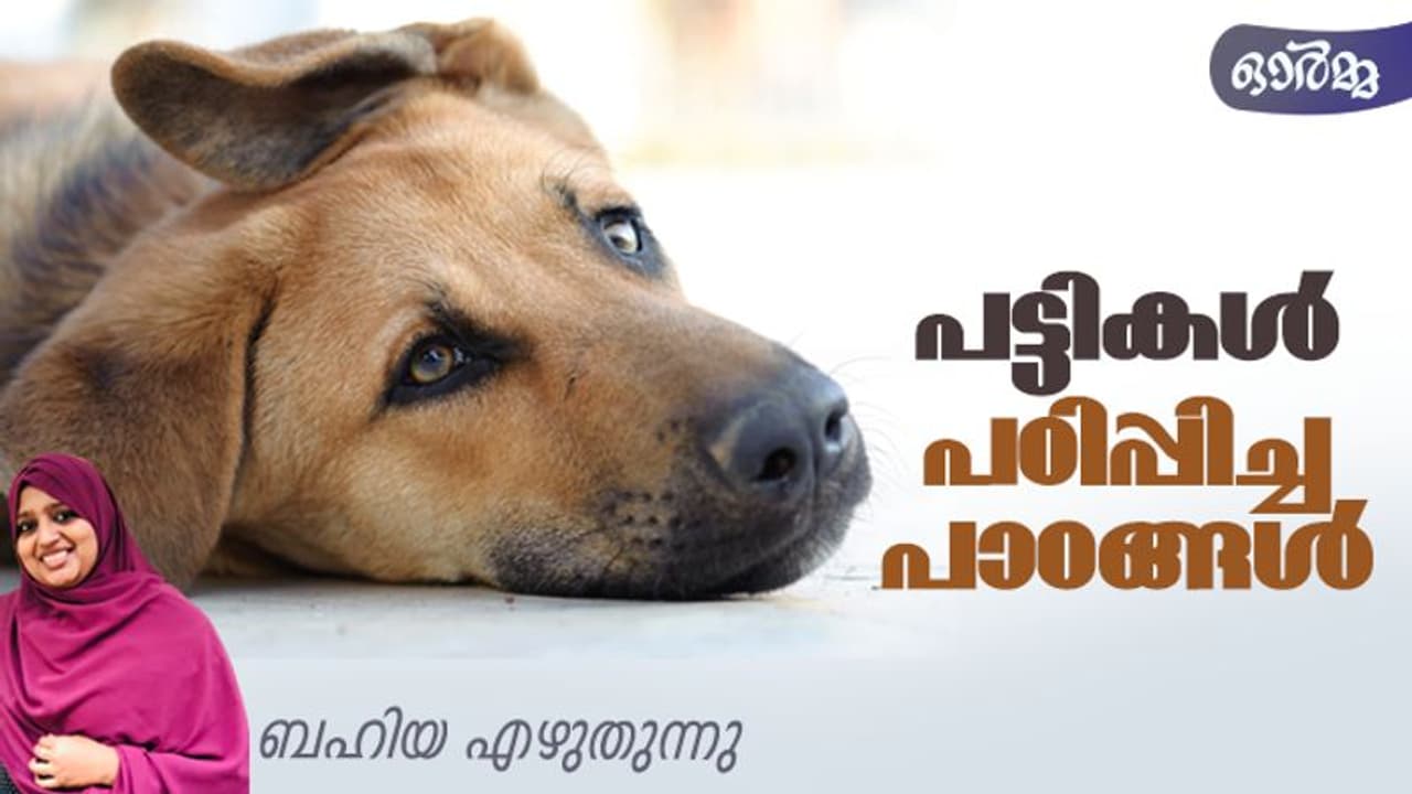 ഓര്ക്കുമ്പോഴെല്ലാം പോസിറ്റീവ് എനര്ജിയായി നിറയുന്ന ഒരു പട്ടി! ഓര്ക്കുമ്പോഴെല്ലാം പോസിറ്റീവ് എനര്ജിയായി നിറയുന്ന ഒരു പട്ടി!