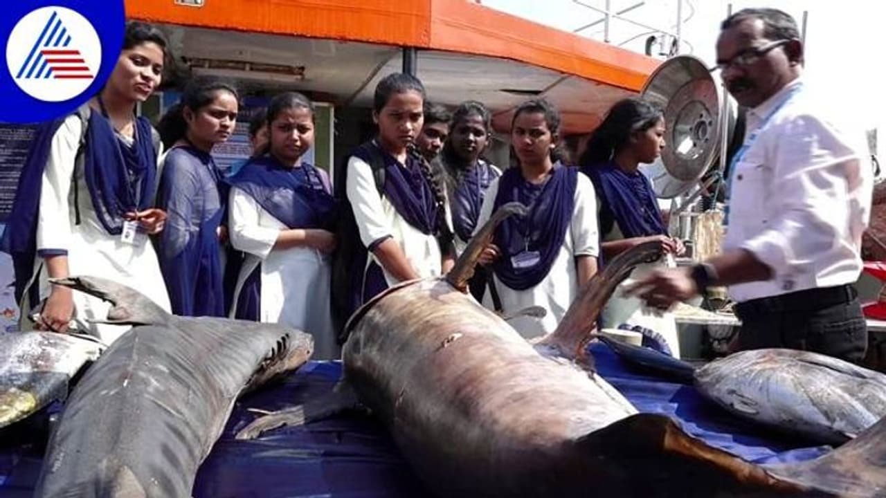 ಕಾರವಾರದಲ್ಲಿ ವಿಶ್ವ ಮೀನುಗಾರಿಕಾ ದಿನಾಚರಣೆ ಕಾರವಾರದಲ್ಲಿ ವಿಶ್ವ ಮೀನುಗಾರಿಕಾ ದಿನಾಚರಣೆ