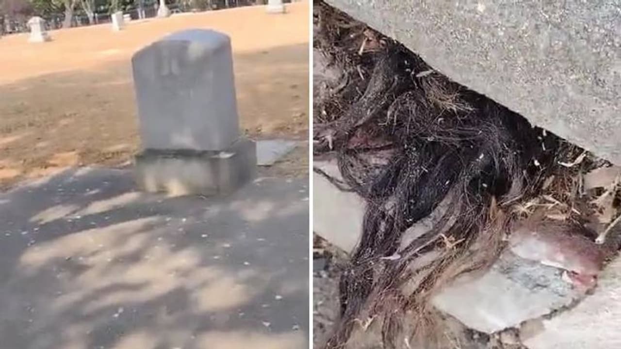 കല്ലറയിൽ നിന്നും പുറത്തേക്ക് നീണ്ട് മുടി, സെമിത്തേരിയിലെ കാഴ്ച കണ്ട് ഞെട്ടി യുവാവ് 