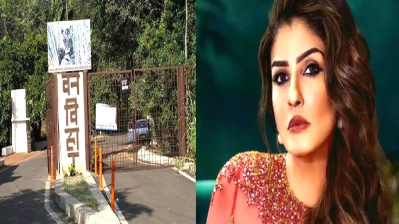 भोपालः वन विहार पार्क में बाघ पर पत्थर फेंकने वालों को देख भड़की रवीना टंडन, सोशल मीडिया में लिखा ये सब भोपालः वन विहार पार्क में बाघ पर पत्थर फेंकने वालों को देख भड़की रवीना टंडन, सोशल मीडिया में लिखा ये सब