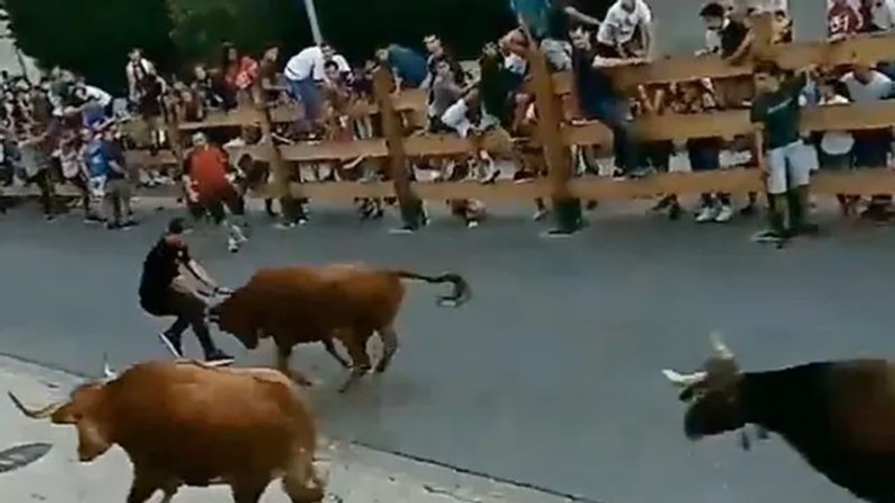 കാളയോട്ടത്തിനിടെ തലനാരിഴയ്ക്ക് ജീവൻ കയ്യിലാക്കി യുവാവ്; വീഡിയോ കാളയോട്ടത്തിനിടെ തലനാരിഴയ്ക്ക് ജീവൻ കയ്യിലാക്കി യുവാവ്; വീഡിയോ