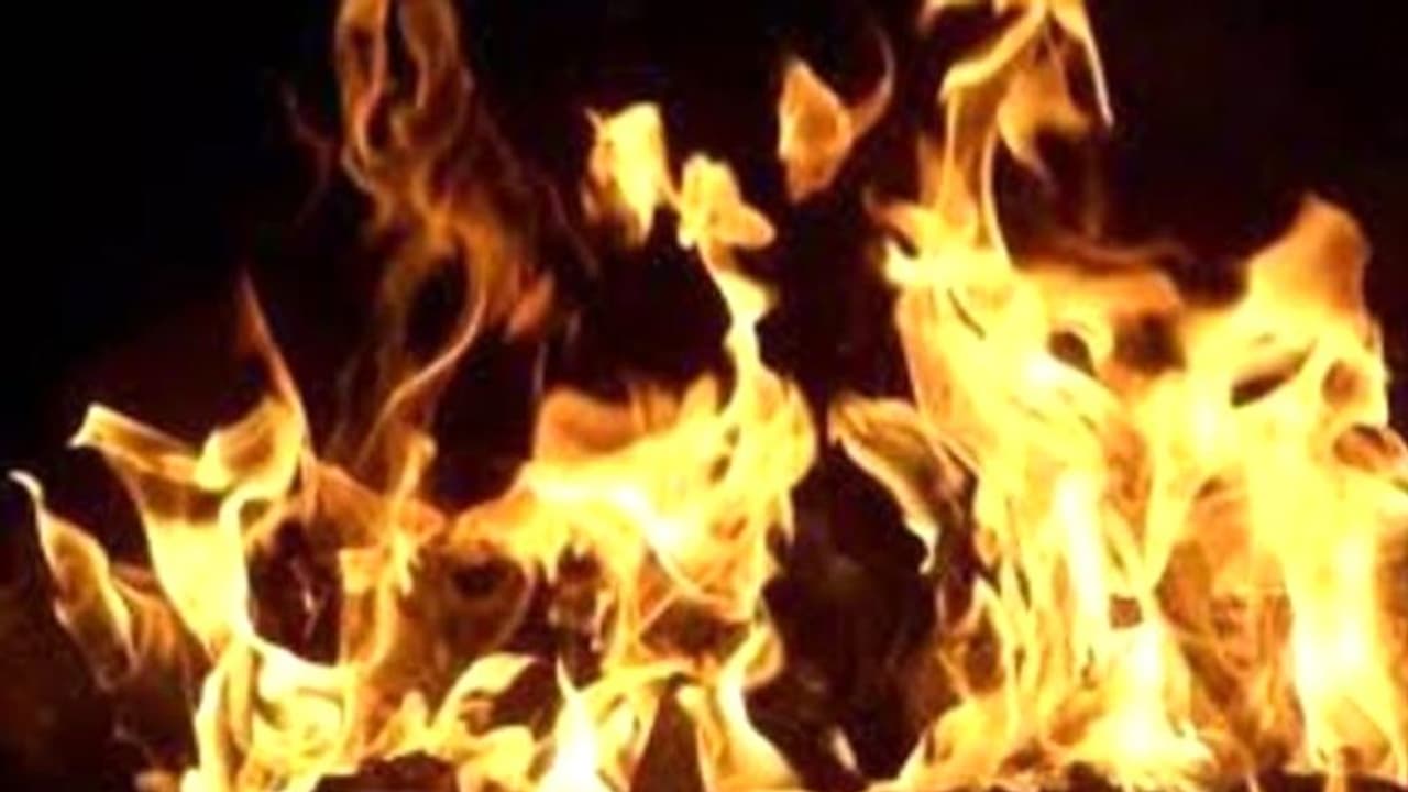 नागपुर में प्रेमिका ने साथ रहने से मना क्या किया, भड़क गया आशिक, कर दी ये खौफनाक वारदात नागपुर में प्रेमिका ने साथ रहने से मना क्या किया, भड़क गया आशिक, कर दी ये खौफनाक वारदात