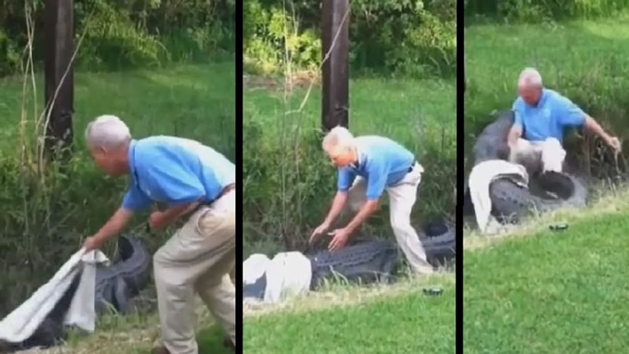 முதலையிடம் சிக்கிய நபர்… பிறகு என்ன ஆனது? அதிர்ச்சியூட்டும் வீடியோ!! முதலையிடம் சிக்கிய நபர்… பிறகு என்ன ஆனது? அதிர்ச்சியூட்டும் வீடியோ!!