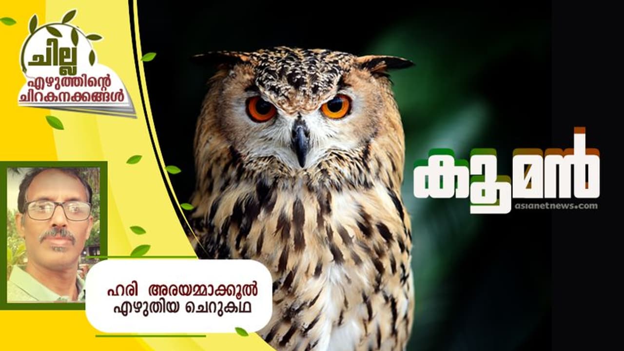 Malayalam Short Story: കൂമന്, ഹരി അരയമ്മാക്കൂല് എഴുതിയ ചെറുകഥ Malayalam Short Story: കൂമന്, ഹരി അരയമ്മാക്കൂല് എഴുതിയ ചെറുകഥ