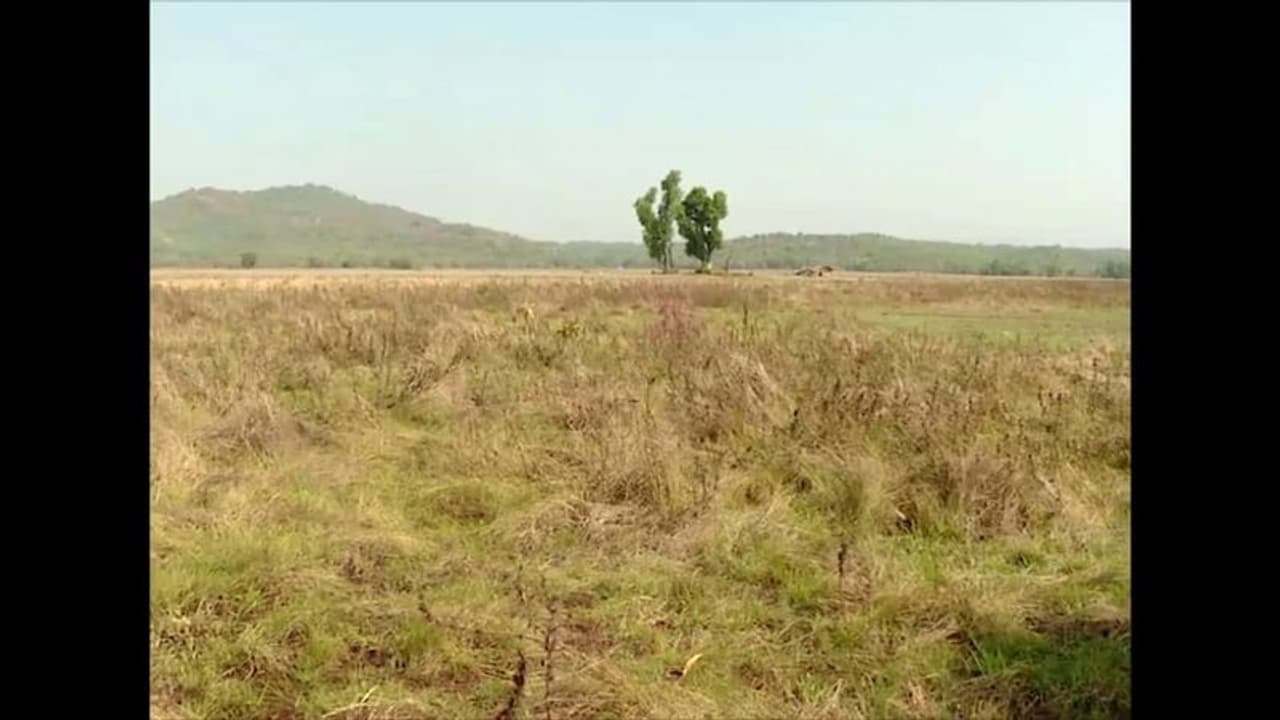 ಕಾರವಾರದಲ್ಲಿ ಕೈಗಾರಿಕೆಗಳ ಸ್ಥಾಪನೆಗೆ ಗ್ರೀನ್‌ ಸಿಗ್ನಲ್