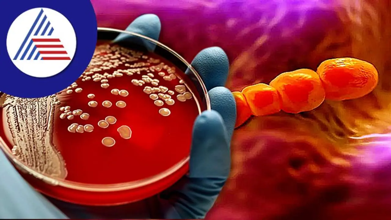 ಮಾರಕ ಕಾಯಿಲೆಗೆ ಕಾರಣವಾಗೋ ಐದು ಬ್ಯಾಕ್ಟಿರೀಯಾ; ಎಲ್ಲೆಲ್ಲಿ ಇರುತ್ತವೆ ತಿಳ್ಕೊಳ್ಳಿ ಮಾರಕ ಕಾಯಿಲೆಗೆ ಕಾರಣವಾಗೋ ಐದು ಬ್ಯಾಕ್ಟಿರೀಯಾ; ಎಲ್ಲೆಲ್ಲಿ ಇರುತ್ತವೆ ತಿಳ್ಕೊಳ್ಳಿ