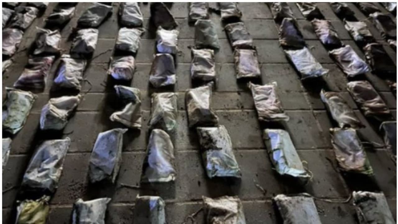 ലഹരിമരുന്ന് കടത്ത്; ബീച്ചില്‍ വിദഗ്ധമായി ഒളിപ്പിച്ച 231 കഞ്ചാവ് പൊതികള്‍ പിടികൂടി