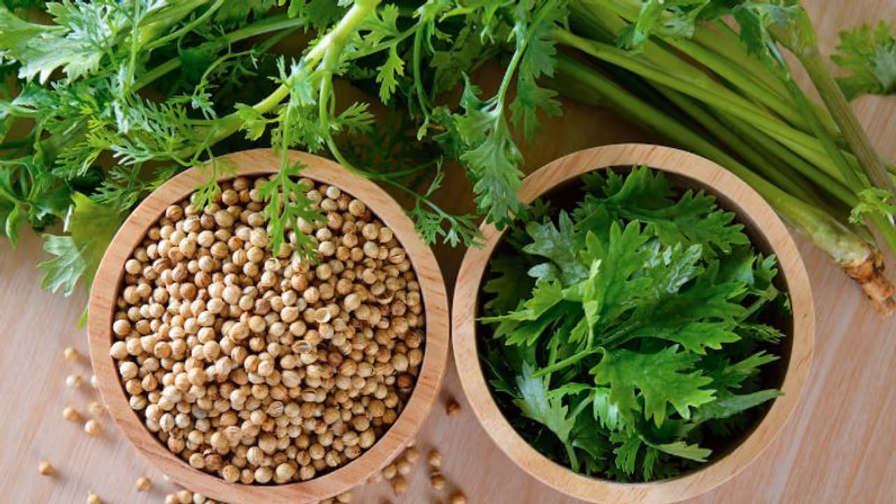 തൈറോയ്ഡ് മുതൽ കൊളസ്ട്രോൾ വരെ; അറിയാം മല്ലിയുടെ ഗുണങ്ങള്‍... 