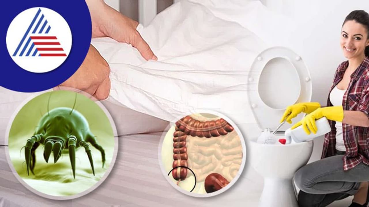 ಟಾಯ್ಲೆಟ್ನಲ್ಲಿರೋದಕ್ಕಿಂತ ಹೆಚ್ಚು ಬ್ಯಾಕ್ಟಿರೀಯಾ ಬೆಡ್ಶೀಟ್ನಲ್ಲಿರುತ್ತಂತೆ ! ಟಾಯ್ಲೆಟ್ನಲ್ಲಿರೋದಕ್ಕಿಂತ ಹೆಚ್ಚು ಬ್ಯಾಕ್ಟಿರೀಯಾ ಬೆಡ್ಶೀಟ್ನಲ್ಲಿರುತ್ತಂತೆ !