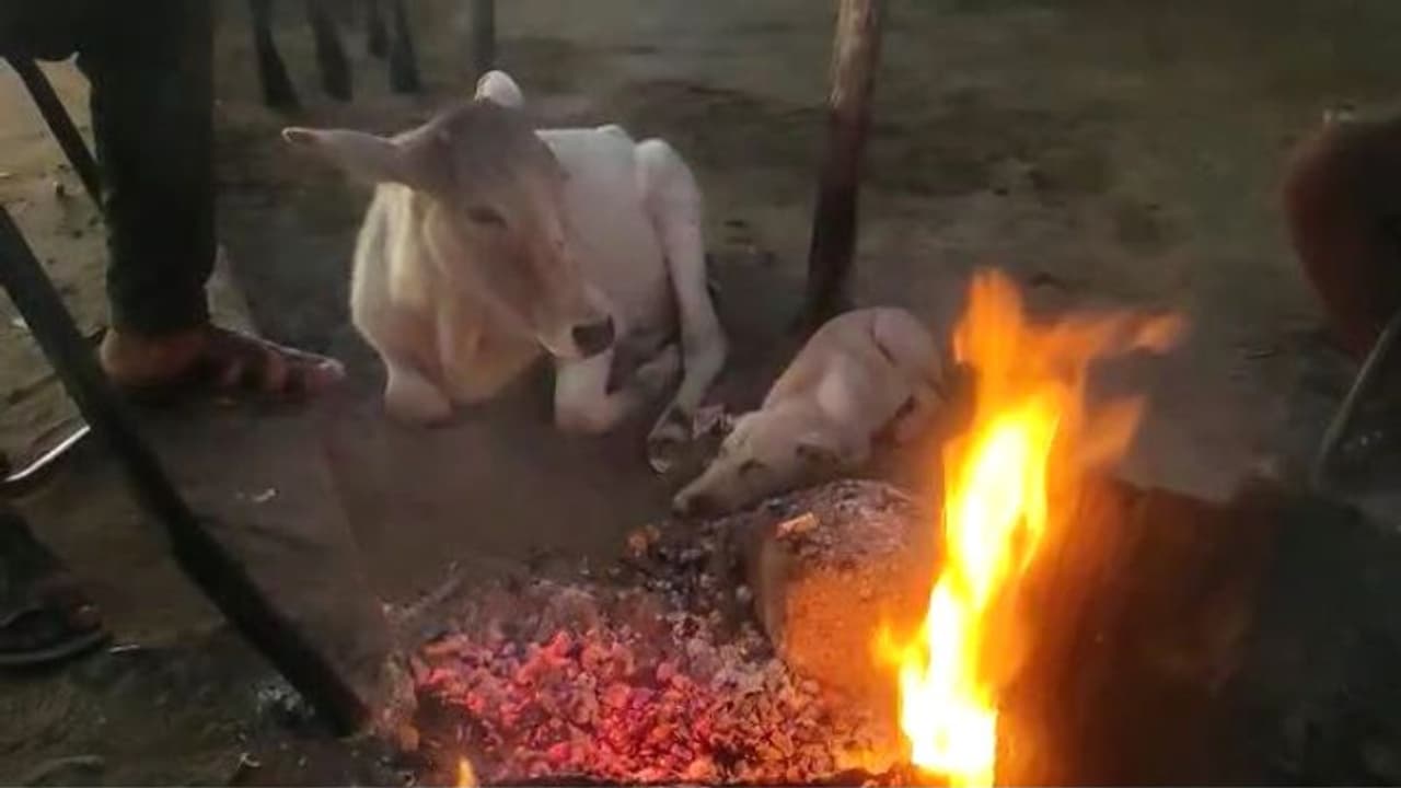 राजस्थान वेदर के ताजा हालः बढ़ती ठंड के बीच दिसंबर में फिर होगी बरसात, बिगड़ेगा मौसम का मिजाज राजस्थान वेदर के ताजा हालः बढ़ती ठंड के बीच दिसंबर में फिर होगी बरसात, बिगड़ेगा मौसम का मिजाज