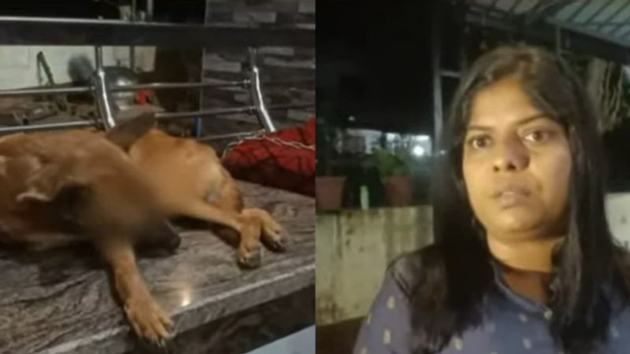 കാണാതായ വളർത്തു നായയെ കണ്ണുകൾ ചൂഴ്ന്നെടുത്ത നിലയിൽ കണ്ടെത്തി, പട്ടാമ്പി പൊലീസിൽ പരാതി