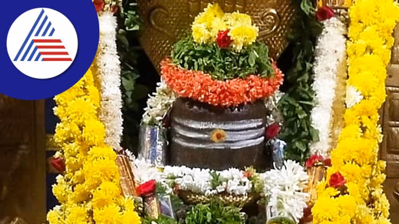 ಕನಸಿನಲ್ಲಿ ಶಿವಲಿಂಗವನ್ನು ನೋಡುವುದರ ಅರ್ಥವೇನು..?