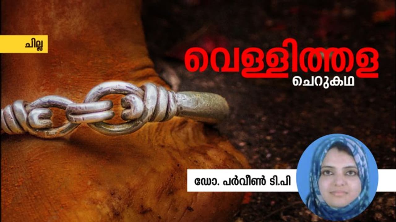 Malayalam Short Story : വെള്ളിത്തള, ഡോ. പര്വീണ് ടി. പി എഴുതിയ ചെറുകഥ Malayalam Short Story : വെള്ളിത്തള, ഡോ. പര്വീണ് ടി. പി എഴുതിയ ചെറുകഥ
