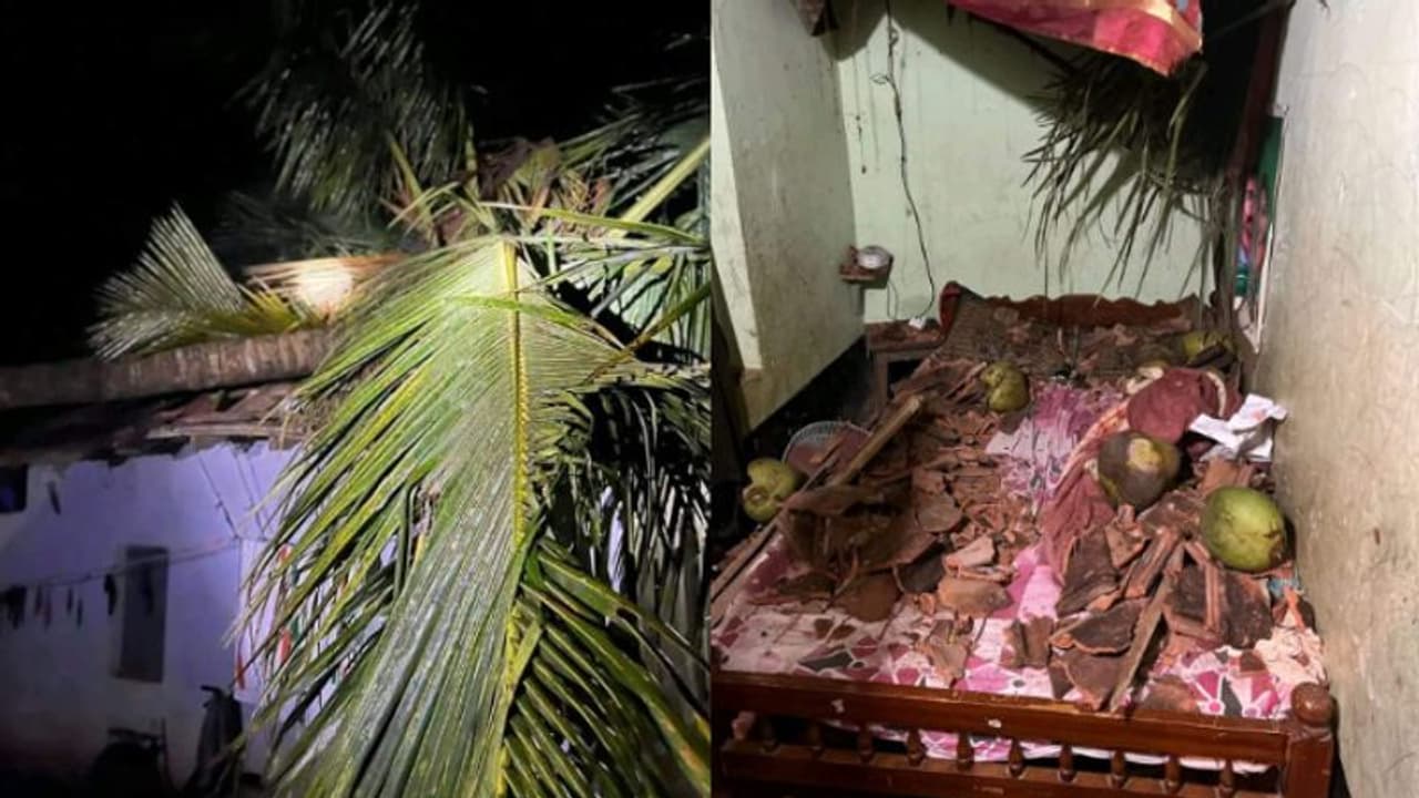 'ഉറക്കത്തില് ശരീരത്തില് എന്തൊക്കെയോ വീണു, ഞെട്ടിയുണര്ന്ന് അലറി'; ജീവന് തിരിച്ചു കിട്ടിയ ആശ്വാസത്തില് സോഫി 'ഉറക്കത്തില് ശരീരത്തില് എന്തൊക്കെയോ വീണു, ഞെട്ടിയുണര്ന്ന് അലറി'; ജീവന് തിരിച്ചു കിട്ടിയ ആശ്വാസത്തില് സോഫി