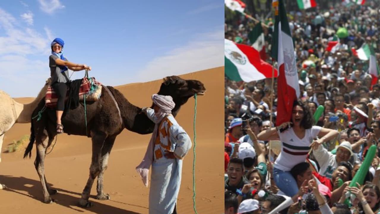 ఫిఫా ఫ్యాన్స్కు ‘క్యామెల్ ఫ్లూ’ గండం..! మరో మహమ్మారి తప్పదని నివేదికలు.. ఒంటెలకు దూరంగా ఉండాలని హెచ్చరిక ఫిఫా ఫ్యాన్స్కు ‘క్యామెల్ ఫ్లూ’ గండం..! మరో మహమ్మారి తప్పదని నివేదికలు.. ఒంటెలకు దూరంగా ఉండాలని హెచ్చరిక