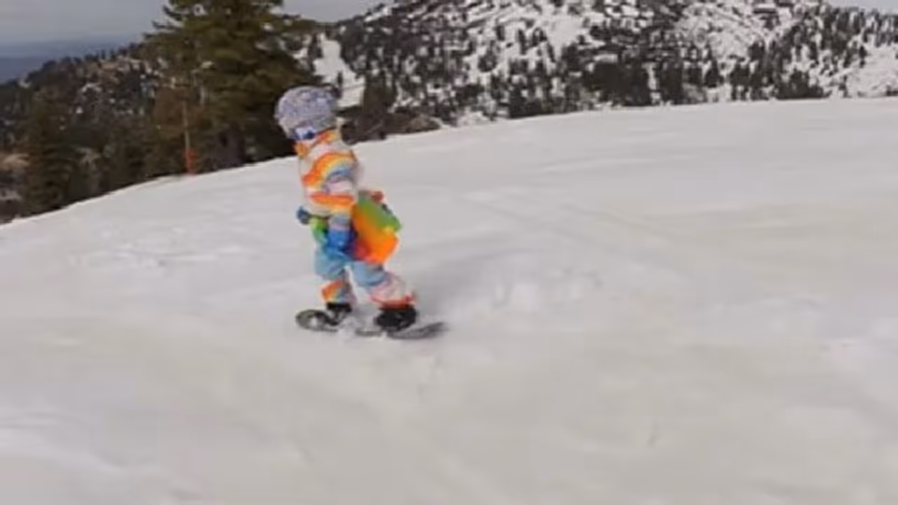 സാഹസികതയും ഒപ്പം രസവും; ഈ വീഡിയോ കണ്ടില്ലെങ്കില് നഷ്ടം തന്നെ... സാഹസികതയും ഒപ്പം രസവും; ഈ വീഡിയോ കണ്ടില്ലെങ്കില് നഷ്ടം തന്നെ...