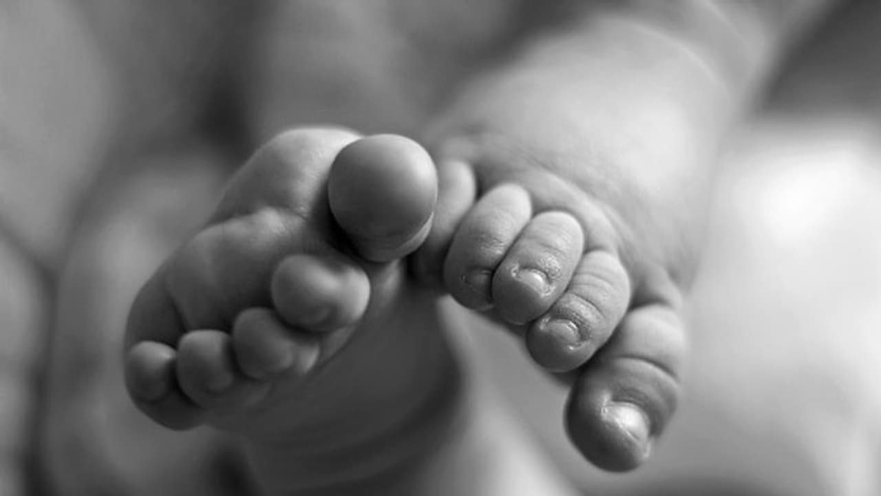 നവജാത ശിശുവിനെ കിണറ്റിൽ മരിച്ച നിലയിൽ കണ്ടെത്തി; അമ്മയെ ചോദ്യം ചെയ്ത് പൊലീസ് നവജാത ശിശുവിനെ കിണറ്റിൽ മരിച്ച നിലയിൽ കണ്ടെത്തി; അമ്മയെ ചോദ്യം ചെയ്ത് പൊലീസ്