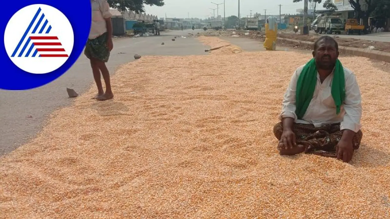 Ballari: ಎಪಿಎಂಸಿಯಲ್ಲಿ ರೈತರ ಮೆಕ್ಕೆಜೋಳ ಖರೀದಿಸದೇ ದಲ್ಲಾಳಿಗಳ ಕಿರುಕುಳ